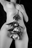 body_art_181004_128